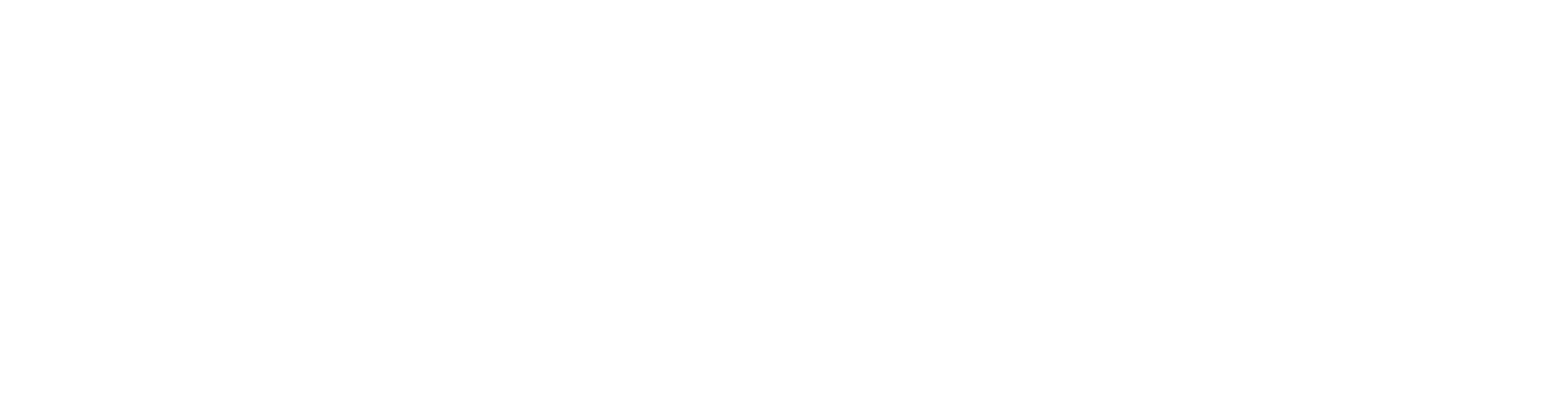 Thuần Việt Group